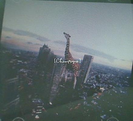 starrrrrrr/涙がこぼれそう 【Champagne】