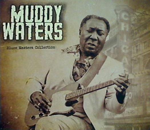 Muddy Waters Muddy Waters