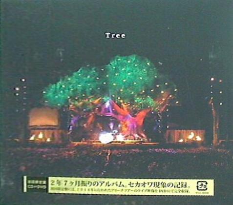 CD Tree 初回限定盤CD＋DVD SEKAI NO OWARI – AOBADO オンラインストア