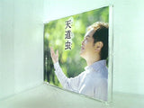 天道虫 てんとうむし 三田りょう