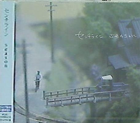 センチライン season