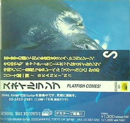 スネイルランプ FLATFISH COMES！