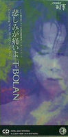 T-BOLAN 悲しみが痛いよ