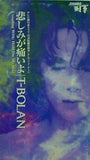 T-BOLAN 悲しみが痛いよ