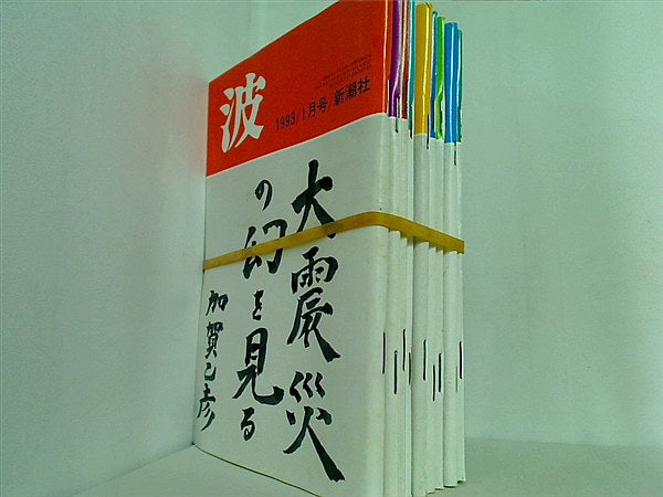 波 1993年号 新潮社 １月号-９月号。