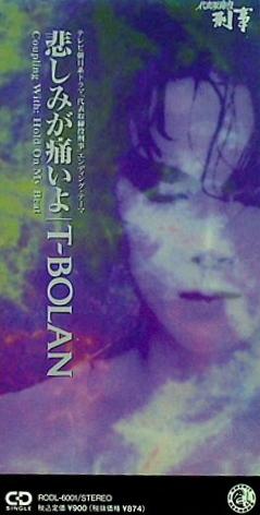 悲しみが痛いよ T-BOLAN