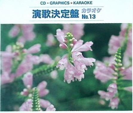 演歌決定盤 カラオケNo.13 恋ものがたり