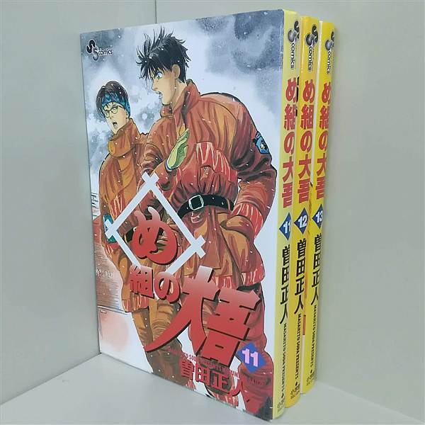 め組の大吾 火事場のバカヤロー 曽田 正人 １１巻-１３巻。