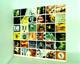 Pearl Jam No Code CD Album at Discogs パール・ジャム ノー・コード