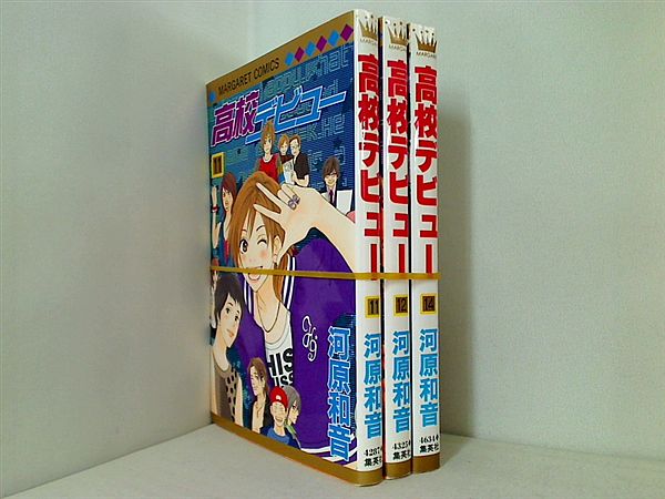 高校デビュー 河原 和音 １１巻,１２巻,１４巻。