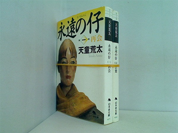 永遠の仔 幻冬舎文庫 天童 荒太 １巻,５巻。