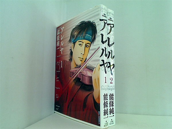 アレルヤ ビッグコミックス 能條 純一 １巻,２巻。