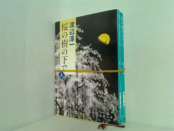 桜の樹の下で 新潮文庫 渡辺 淳一 上下巻。