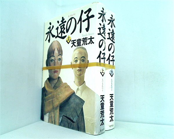 永遠の仔  天童 荒太 上下巻。