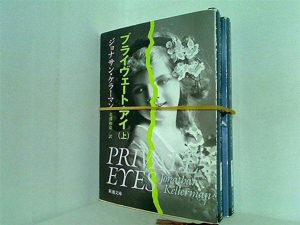 プライヴェート・アイ 新潮文庫 ジョナサン ケラーマン 上下巻。