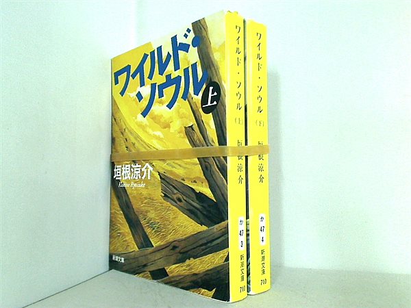 ワイルド・ソウル 新潮文庫 垣根 涼介 上下巻。