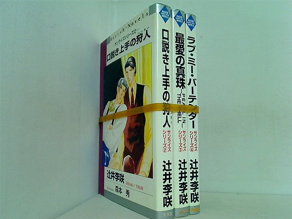 サンライズ シリーズ 辻井 李咲 ２巻-４巻。