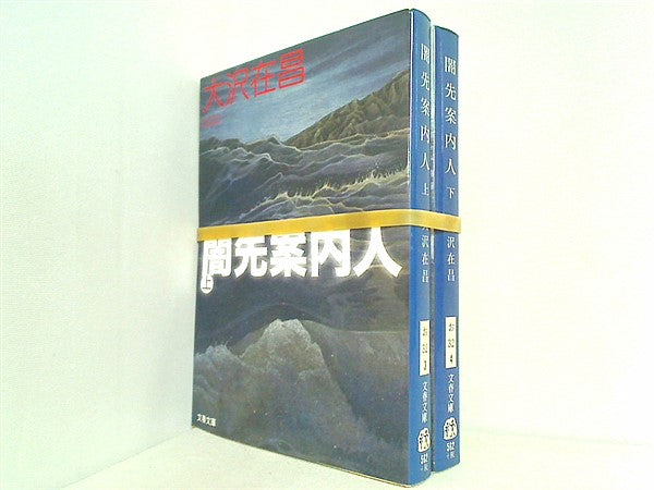 闇先案内人 文春文庫 大沢 在昌 上下巻。