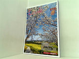 Leak リーク 2018年 春号 3・4月号 VOL.127