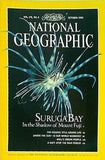 NATIONAL GEOGRAPHIC 1990年 10月号