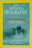 NATIONAL GEOGRAPHIC 1994年 11月号