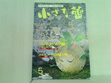 小さな蕾 2004年5月号