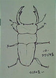 Every little thing official fan club ciao vol.56