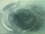 図録・カタログ NOTORIOUS Alfred Hitchcock Contemporary Art 2001年 アルフレッド・ヒッチコック