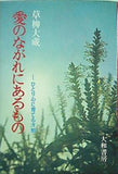 愛のながれにあるもの ひとり心に育てる才知