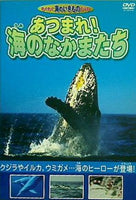 Amazon.co.jp: DVD 海のへんな生き物 : ナショナル ジオ