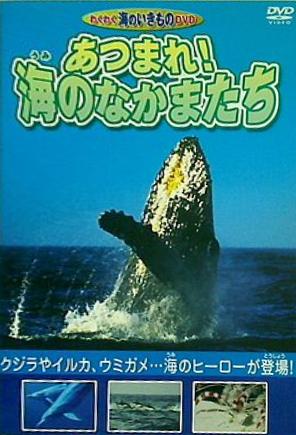 ワイルドライフ 進化の島 ガラパゴス ウミイグアナ 豊かな海に泳ぎ出せ [DVD] ワイルドライフ 進化の島 ガラパゴス ウミイグアナ 豊かな海に