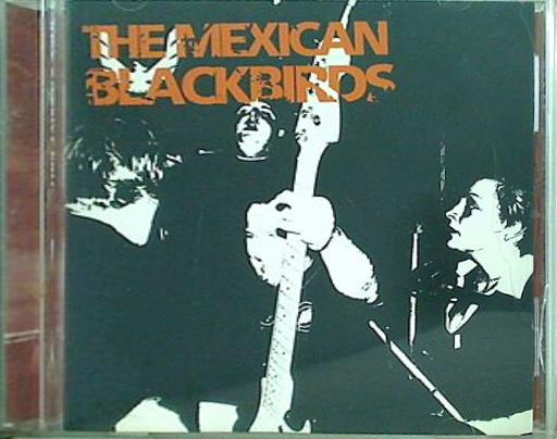 THE MEXICAN BLACKBIRDS JUST TO SPITE YOU