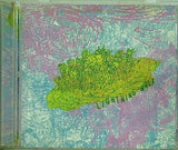 LIGHTNING BOLT RIDE THE SKIES