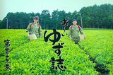 ゆずファングラブ会報誌 ゆず誌 YUZU-SHI no.113