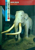 図録・カタログ 信濃の風土と歴史 1 歴史館さんぽ 長野県立歴史館