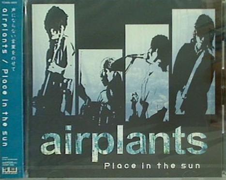 airplants place in the sun