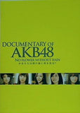 DOCUMENTARY OF AKB48 NO FLOWER WITHOUT RAIN