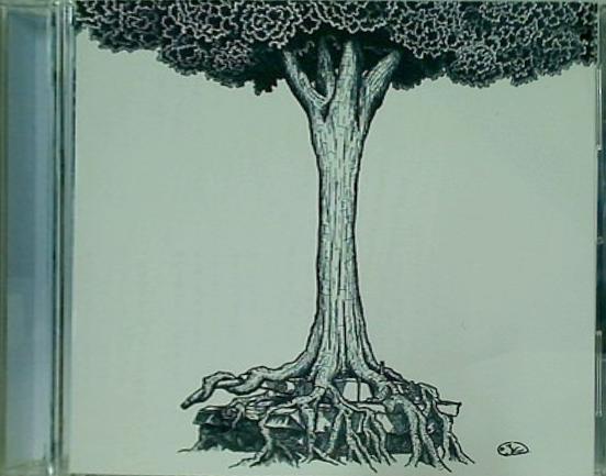 NO 命の跡に咲いた花 ストレイテナー