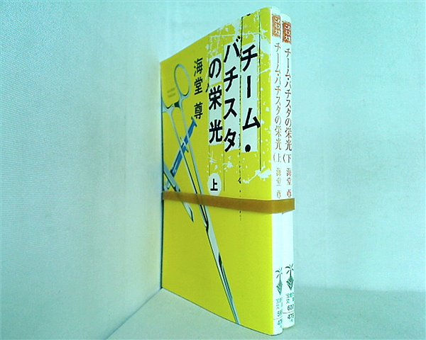 チーム・バチスタ シリーズ 宝島社文庫 海堂 尊 上下巻。