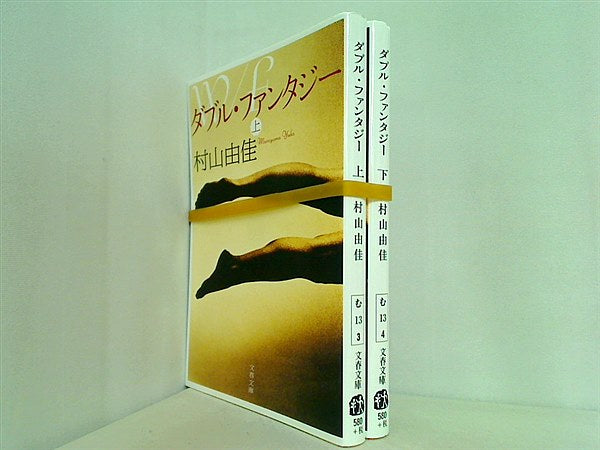 ダブル・ファンタジー  村山 由佳 上下巻。