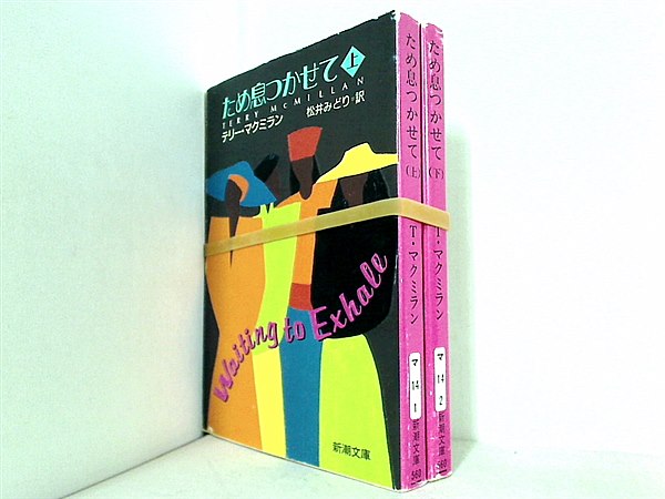 ため息つかせて　テリー・マクミラン　新潮文庫 上下巻。