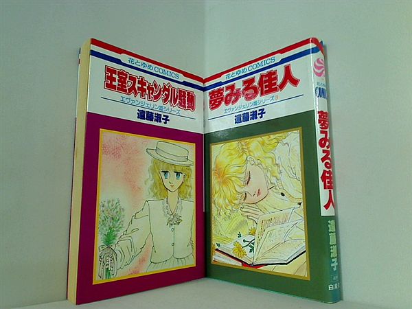 エヴァンジェリン姫 シリーズ 花とゆめCOMICS 遠藤 淑子 １巻,３巻。