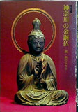 図録 特別展 神奈川の金銅仏 胴・鉄の仏たち 1988年