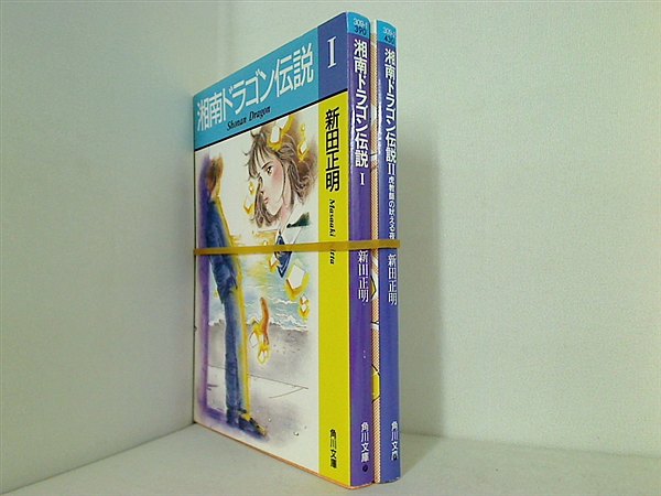 湘南ドラゴン伝説 角川文庫 スニーカー文庫 新田 正明 １巻-２巻。