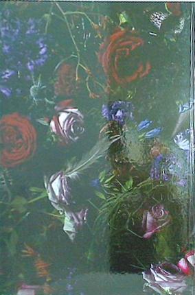 パンフレット LUNA SEA 25th ANNIVRSARY LIVE THE LUNATIC A Liberated Will 