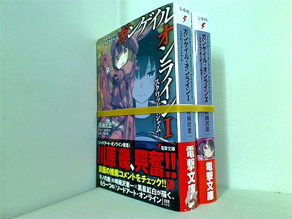 ソードアート・オンライン オルタナティブ ガンゲイル・オンライン 電撃文庫 時雨沢 恵一 川原 礫 黒星 紅白 １巻,１０巻。全ての巻に帯付属。