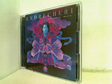 ENDRECHERI one more purple funk... 硬命 katana CD＋DVD Limited Edition A