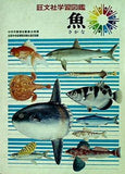 旺文社学習図鑑 魚