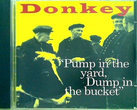 donkey Pump in the yard  Dump in the bucket