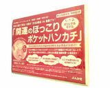 ぶんか社ムック ひふみ vol.16 特別付録 ひふみオリジナルモデル 開運のほっこりポケットハンカチ